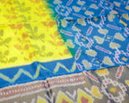 Pochampalli Pure Silk Saree – Plants Pattern in Yellow & Rama Blue